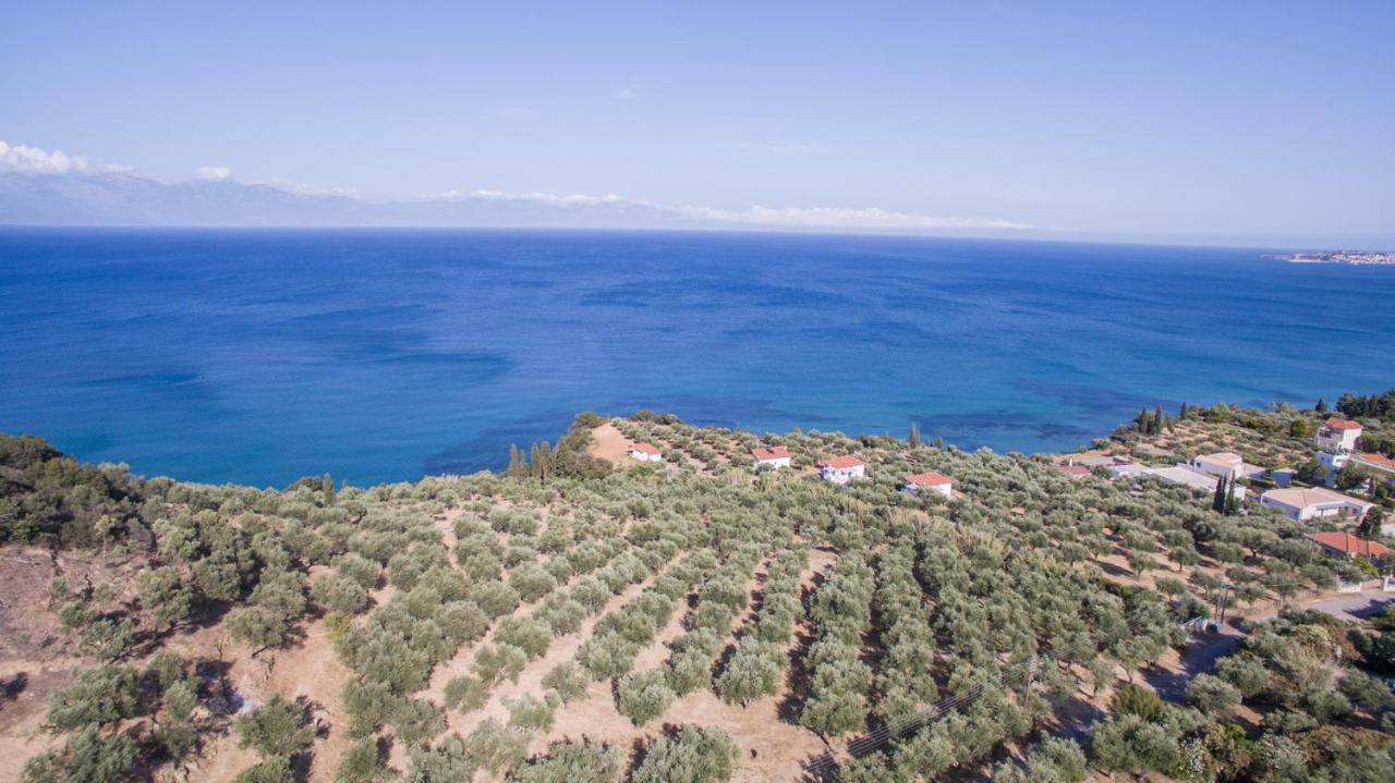 Vila Κτήμα Παπαβασιλόπουλος 2 - Koróni Exteriér fotografie